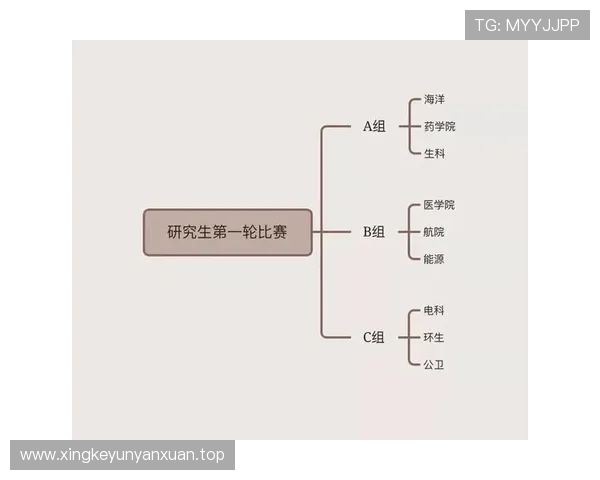 基于技术统计的羽毛球竞技表现评估与训练优化研究方法与实战应用分析